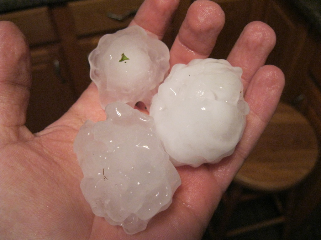 photo of large hail in northern Colorado