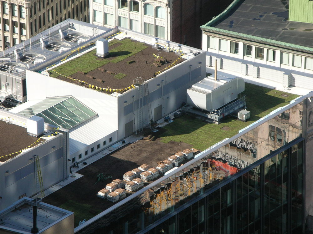 Green+Roof+During+Installation